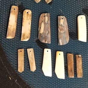 Mammoth and fossil walrus tusk